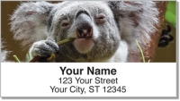 Animals of Australia Address Labels