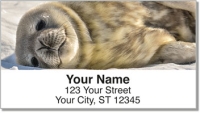 Animals of Antarctica Address Labels Checks